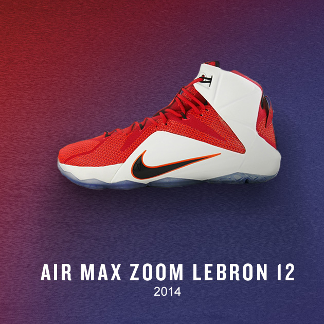 Air Max Zoom LeBron 12 Shoe