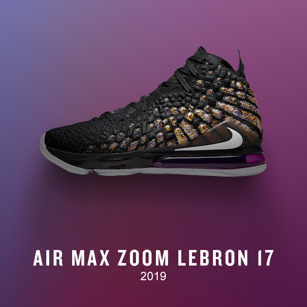 LeBron 17 Shoe